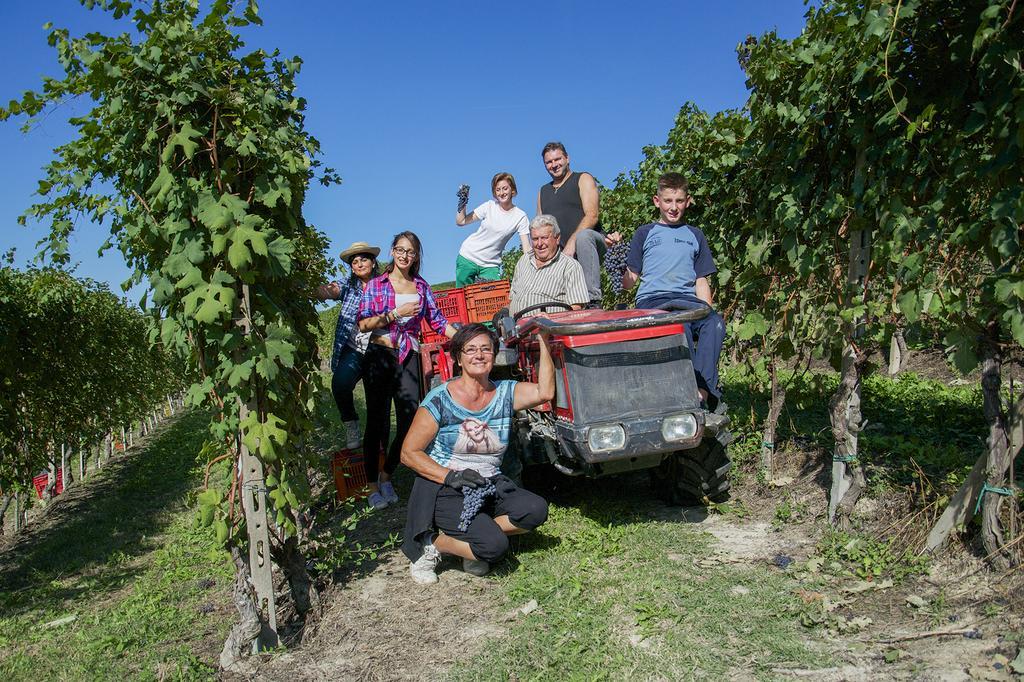 Villa Laura Castellinaldo Dış mekan fotoğraf